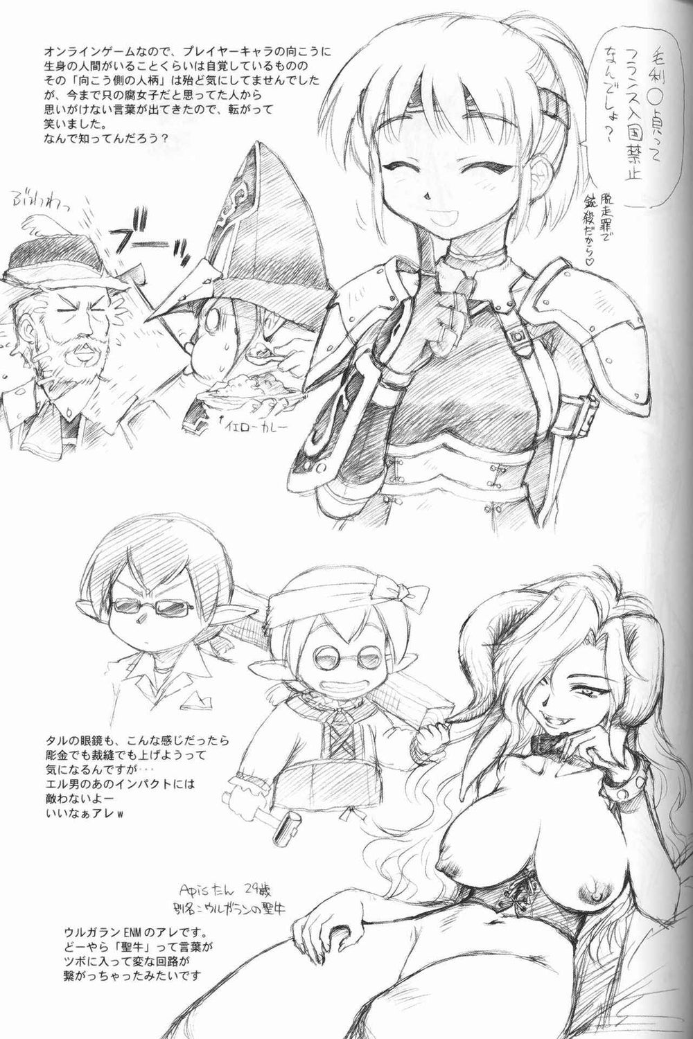 Doujinshi Alterna Hajikemashita Final Fantasy XI