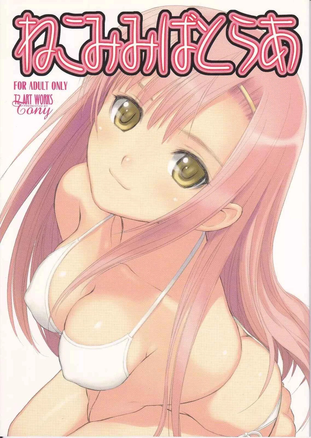 π Illustrations Collection Art Book by Tony β T2 Art Works