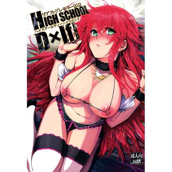 Doujinshi High School DxD Rias Gremory HIGH SCHOOL D×IfEND - Doujinshi Mint Condition - Rare Collector Authentic Japanese Import - Japan Art & Doujin Shop