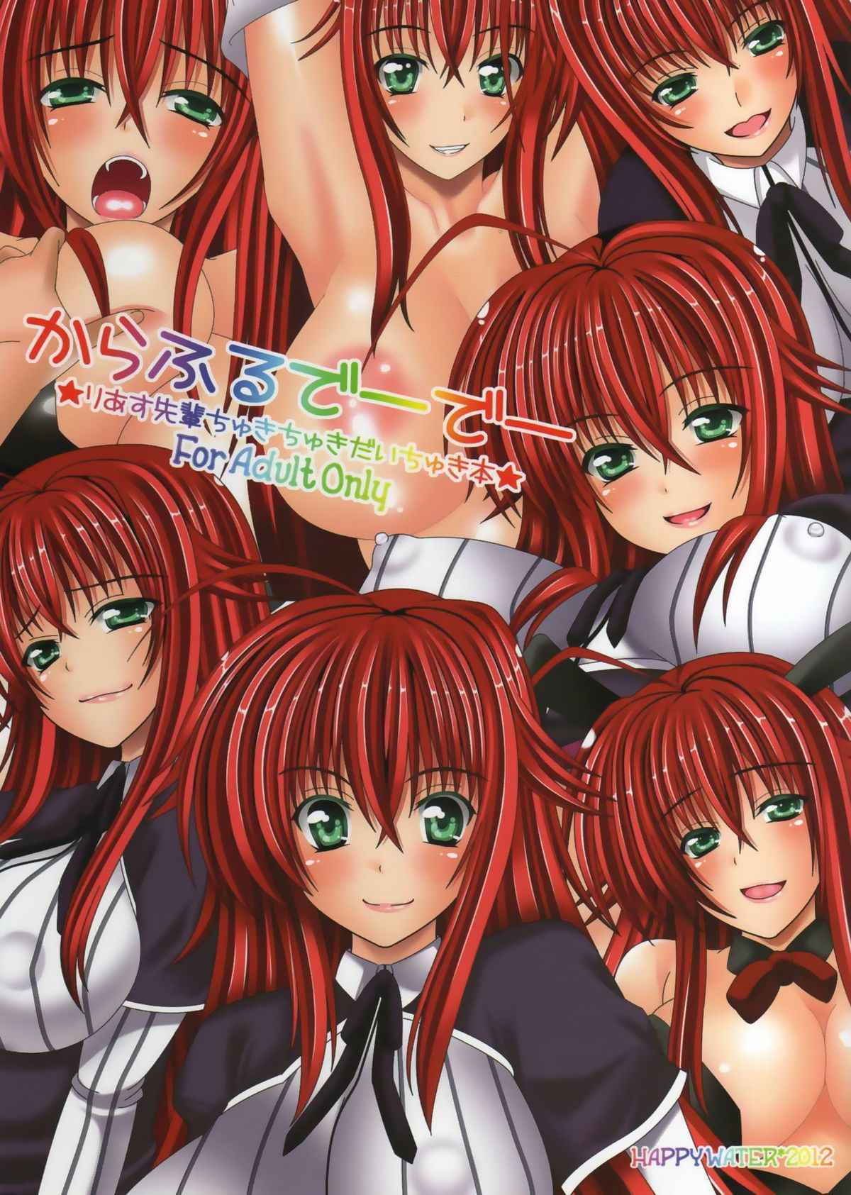 High School DxD Rias Gremory Colorful Fullcolors Doujinshi By Happy Water Mint Condition - Rare Collector Authentic Japanese Import - Japan Art & Doujin Shop